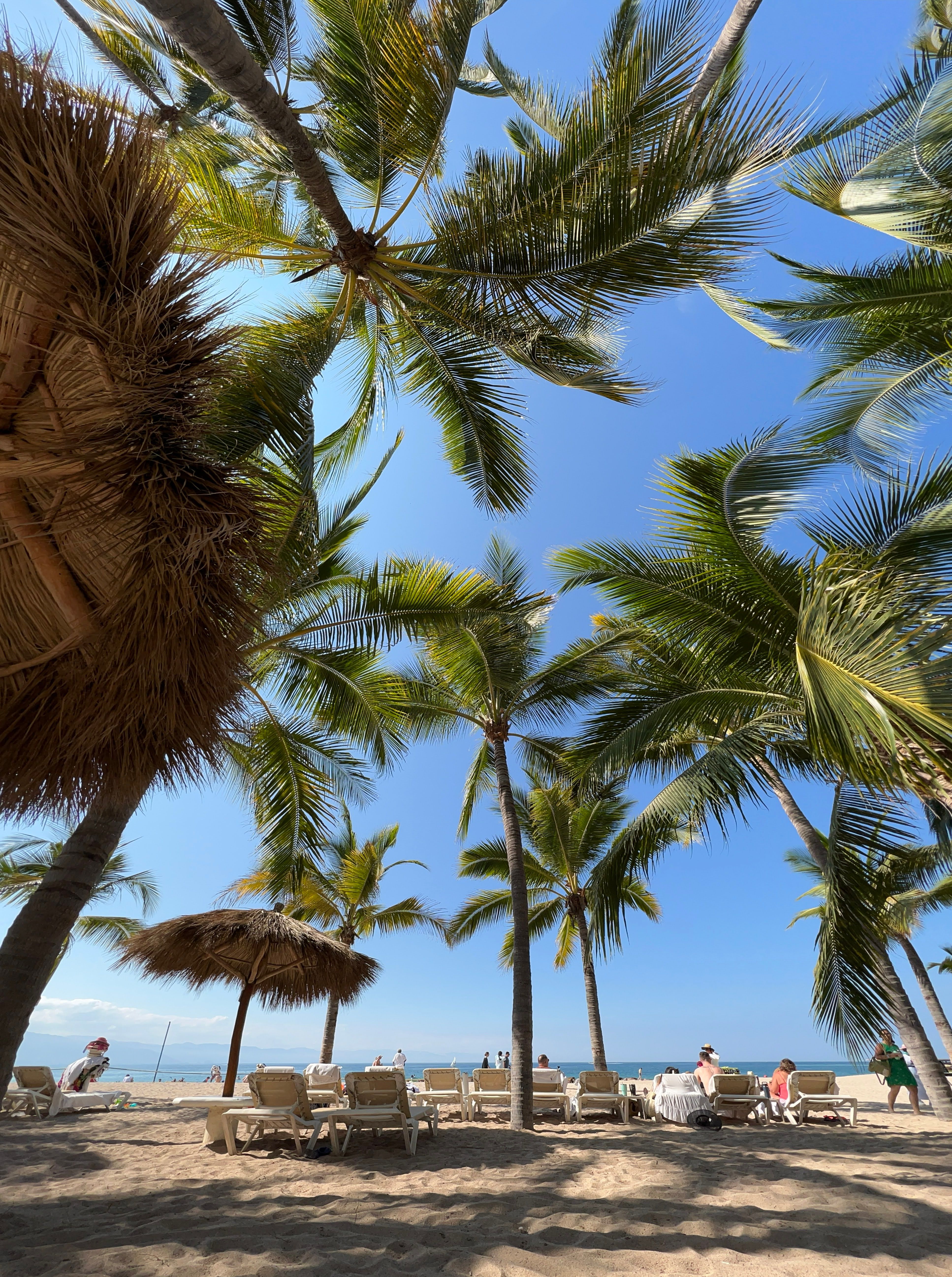 Puerto Vallarta, Jalisco